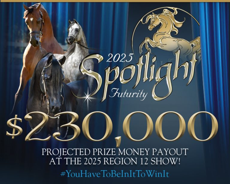 https://www.spotlightfuturity.com