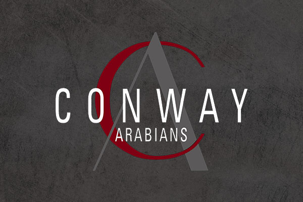https://www.arabiancentric.com/conway-arabians/