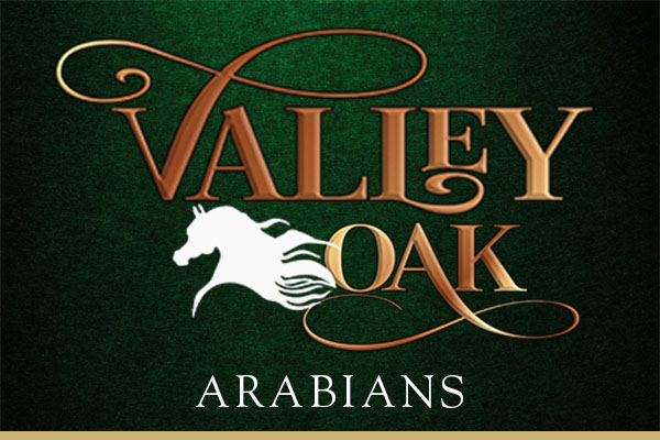 https://www.arabiancentric.com/valley-oak-arabians