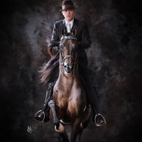 VJ ROYAL HEIR / JOEL KIESNER