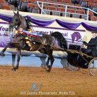 518321029_10171818085630182_1021308638099127172_n