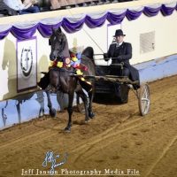 518327084_10171818085415182_1776465830372500859_n