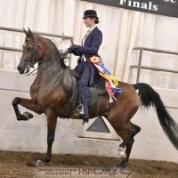 558760116_10172529540390182_542123845331085507_n