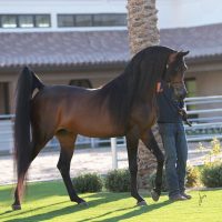Aria-LaCroixx-1-copy-e1739077794129