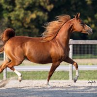 Braden_Capability-WKW_8237-12-www