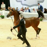 IMG_8610-e1686534088190
