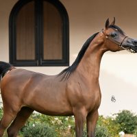 DAUGHTER OF OFW QUINTESSENCE