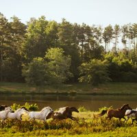 Talaria_7-14_MISC_2052-X2-two