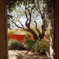 amurath-arabians-courtyard